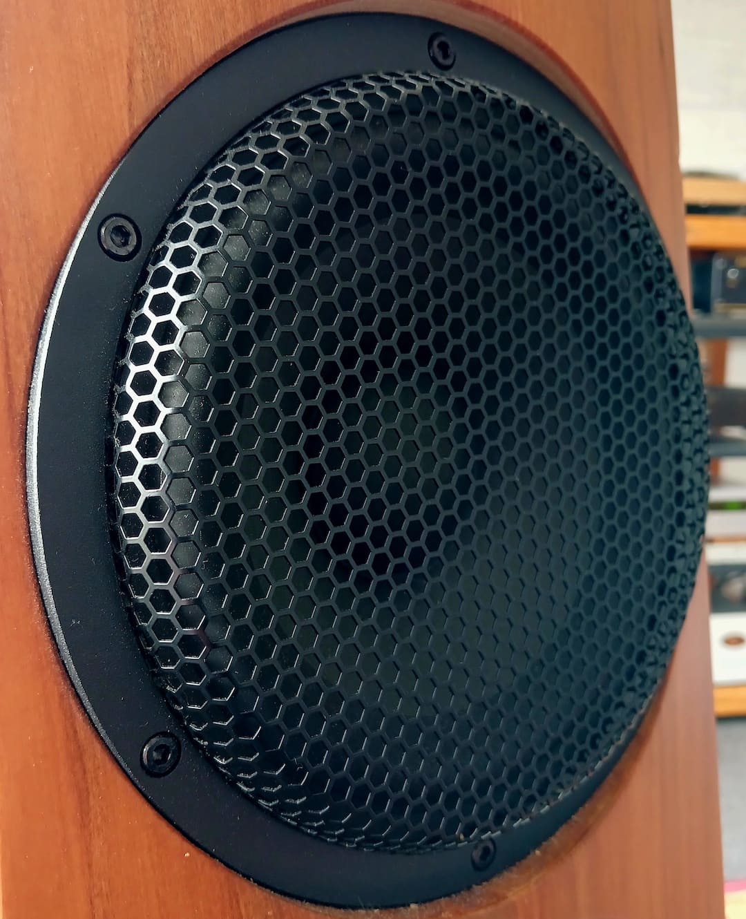 Theophany Airo speaker review